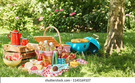 Small light blue grill and tree trunk next to picnic blanket with bushes in background while sun illuminates grass