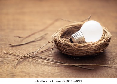 Small Light Bulb Glowing In The Bird Nest, Concept Of Creativity And Origin, New Idea Is Born, Startup And Small Business, Inspiration And Beginning Of Success