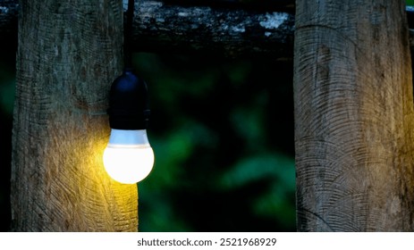 Small light bulbs decorated along a rustic wooden fence in a local restaurant, casting a warm, cozy glow. The soft lighting enhances the inviting atmosphere, creating a relaxed feeling