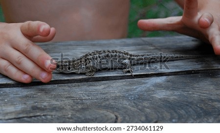 A small lizard on a park bench between children's hands
