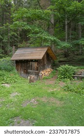 small log cabin in forest