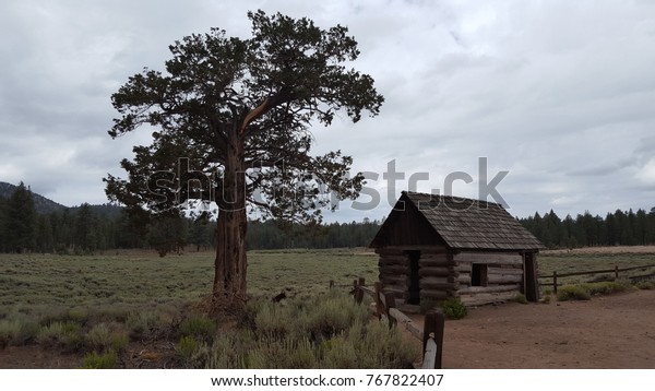 Small Log Cabin Found On Offroad Stock Photo Edit Now 767822407