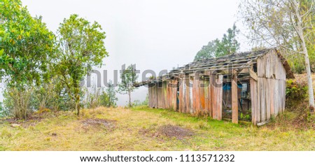 small low-income wooden house with a roof made of clay tiles surrounded by vegetation on a foggy day