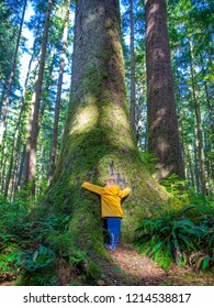 Small Male Child Hugging A Large Sitka Spruce Tree.