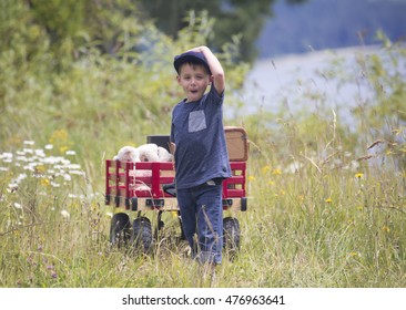 Small Male Child Pulling His Red Wagon With A Stuffed Bear And Suitcase In The Wagon.