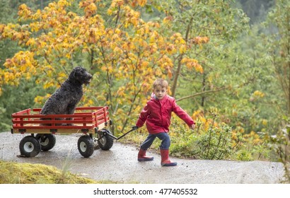Small male child pulling his pet dog in a wooden wagon up a hill in the rain with autumn leaves in the background.