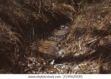 Small man made rivulet inside of a forest