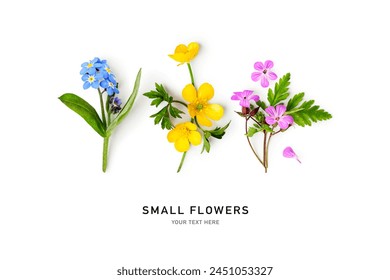 Small meadow wild flower set. Buttercup, forget me not, herb robert geranium flowers isolated on white background. Design element. Springtime and summer nature. Flat lay, top view
 - Powered by Shutterstock