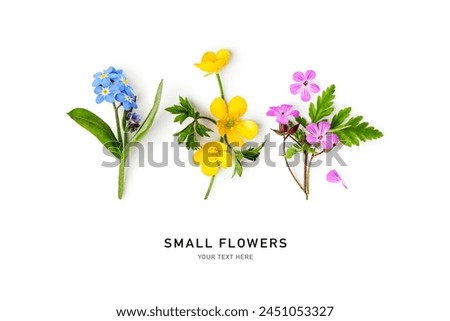 Similar – Image, Stock Photo A small yellow buttercup with blurred background.