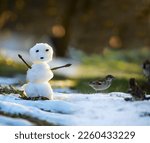 A small melting snowman in a clearing with melting snow and Sparrow birds in a spring meadow. The coming of spring. Warming.