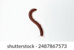 Small millipede isolated on white background. millipede is curling up to prevent danger. millipede walking on white background.