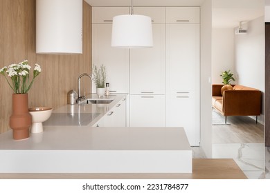 Small and modern kitchen with stylish decorations, aesthetic white furniture and wooden wall - Powered by Shutterstock