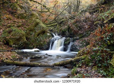 Small mountain river in autumn forest