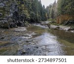 Small mountain river leaking in deep valley with steep rocky banks overgrown with forest at autumn day in shade 