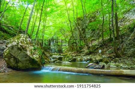 small mountain river rushing through forest in canyon