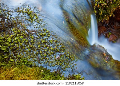 Small mountain stream surrounded by moss covered rocks