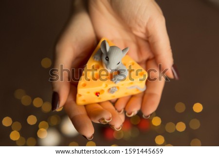 A small mouse in the hands of a girl, a symbol of 2020