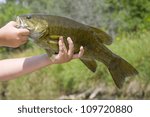 Small Mouth Bass