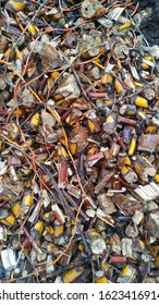 Small Multi-colored Elements Of A Sliver Of Tree Branches Chopped In A Wood Crusher