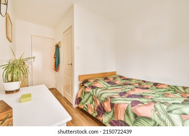 Small Narrow Bedroom With Soft Bed Placed In Corner Against Plant's Rack With Mirror And Two Doors