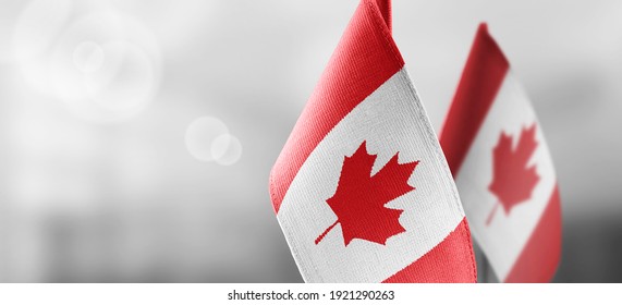 Small national flags of the Canada on a light blurry background