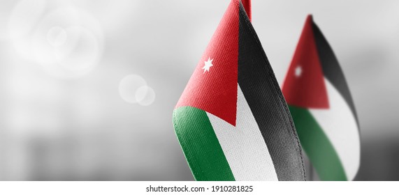 Small national flags of the Jordan on a light blurry background