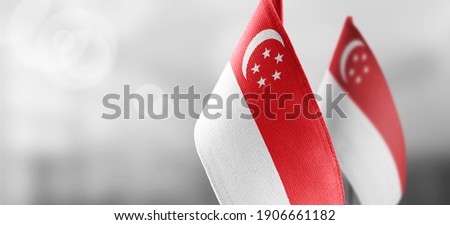 Small national flags of the Singapore on a light blurry background