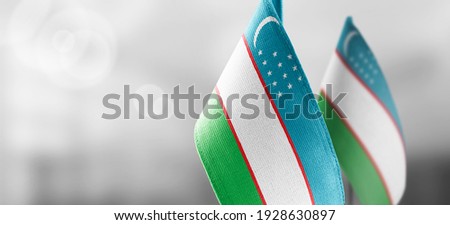 Small national flags of the Uzbekistan on a light blurry background