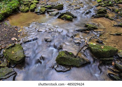 Small Native Brook Trout Stream In Pennsylvania