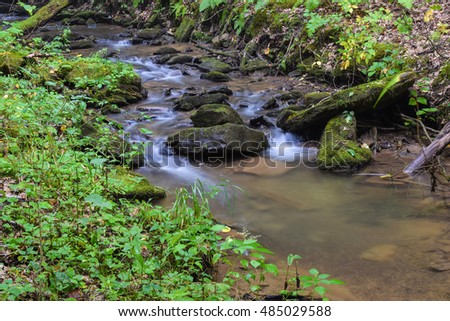 Small Native Brook Trout Stream in Pennsylvania