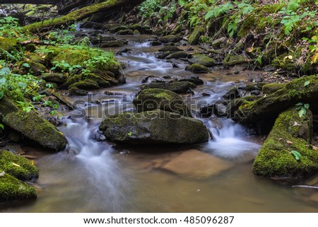A small native Brook Trout Stream in Western Pennsylvania.