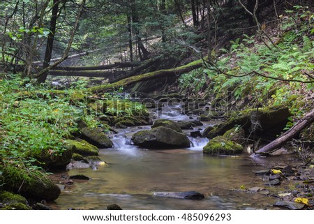 A small native Brook Trout Stream in Western Pennsylvania.