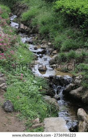 A small natural stream flowing through lush green garden vegetation, featuring clear water, rocks, and grass in a peaceful outdoor environment.