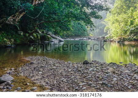 Small nature jungle river in Sabah Malaysian Borneo.