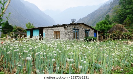 Small Nepalese hut in mountains - Powered by Shutterstock