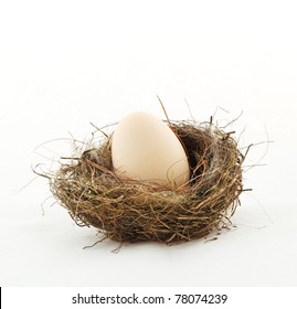 Small Nest With Big Egg, Isolated On White