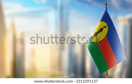 A small New Caledonia flag on an abstract blurry background.
