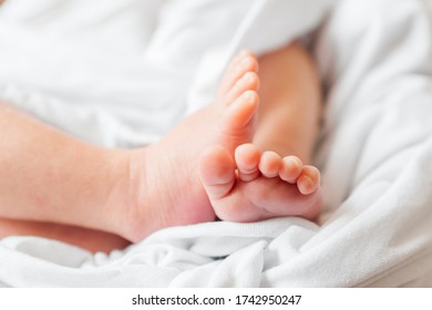 Bebe Fille Images Stock Photos Vectors Shutterstock