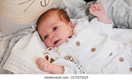 A Small Newborn Baby Lies In The Crib And Watches. Happiness Of Motherhood. Paternity. New Life. Cute Nice Baby Close Up. Happy Childhood. Calm Atmosphere. A Calm Child Does Not Cry Or Fidget