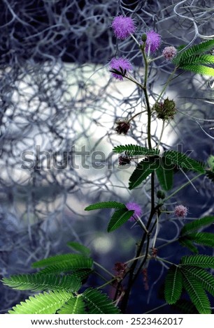 Similar – Image, Stock Photo Blue-purple wild growth sprawls and glows from the twilight.