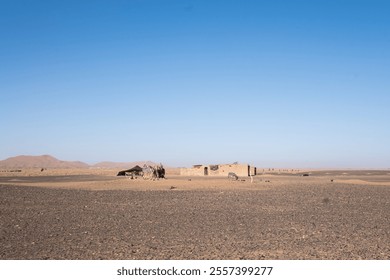 A small nomad camp in the Moroccan desert. A typical tent, a small adobe construction, a donkey and a chicken to survive in the desert. in the background the dunes of the Sahara - Powered by Shutterstock