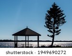 Small open pavillion by Norfolk Island Pine on shores of lake