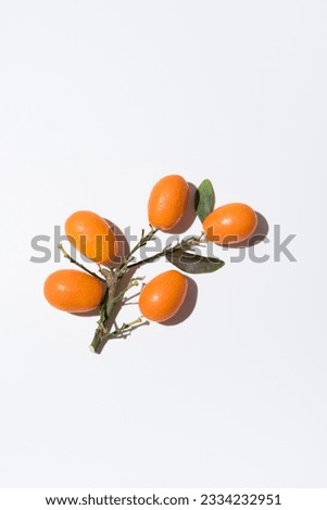 Small orange kumquats on white background. Top view