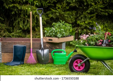 Small Organic Vegetable Garden In Urban Area. Vegetable Garden Boxes. Home Grown Vegetables. A Garden Wheelbarrow Full Of Soil. Beautiful Garden Arrangements