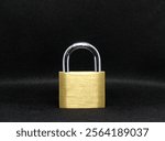 Small Padlock in black background