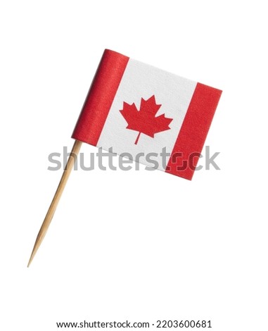 Small paper flag of Canada isolated on white