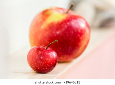 A Small Paradise Apple On A Background Of A Large Apple. Mom With A Child. Big And Small, Compare