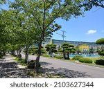 A small park in the school.