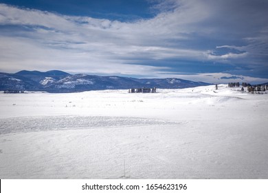 Small patch of tall evergreen trees in middle of vast open snow covered field with mountain range on cloudy day