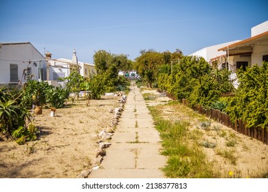 Small path between small houses on Farol island, Faro district, Algarve, Portugal 